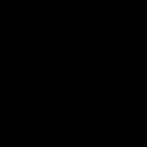 Meet your Posher, Stella